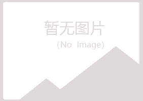 池州岑迷工程有限公司